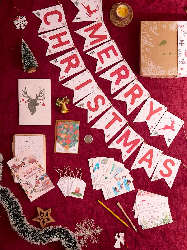 Christmas Hygge: A Mega Plantable Christmas Gift Kit