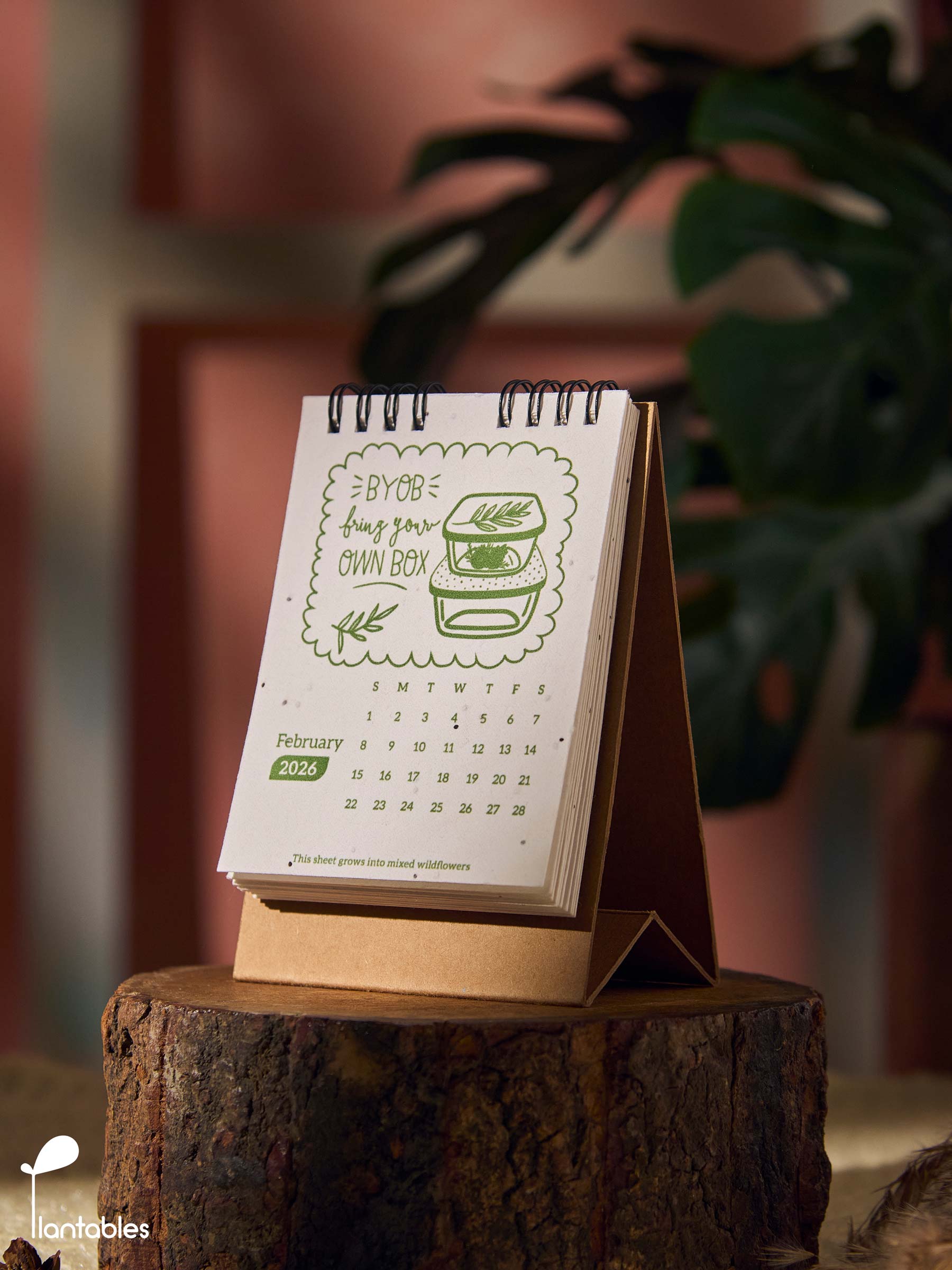 Planet Positive Calendar 2026