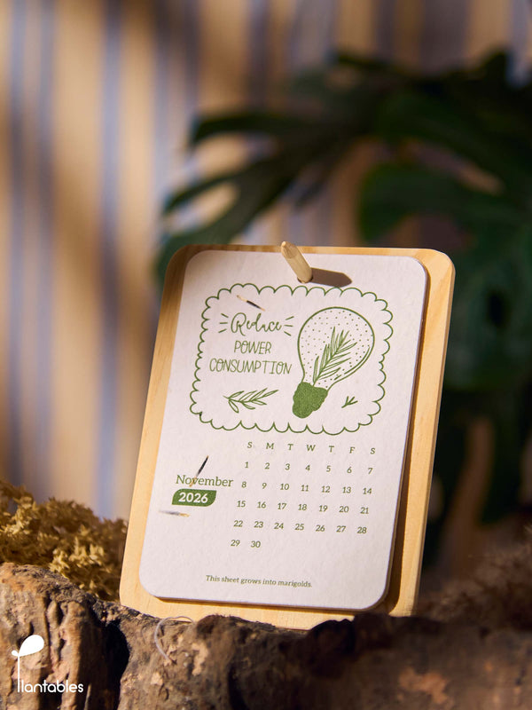 Planet Positive Calendar 2026