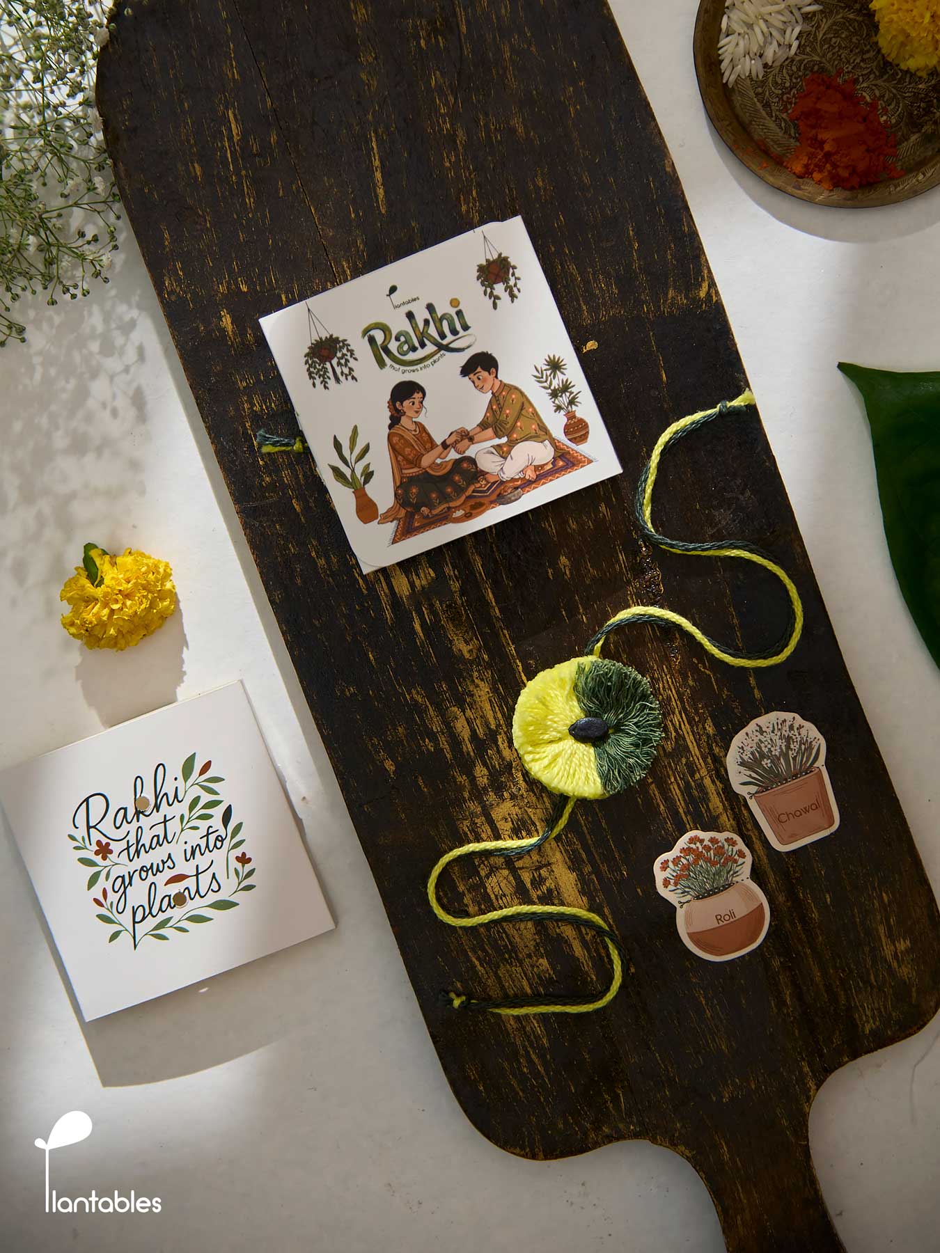 Earthline Rakhi, two-tone green cotton pompom rakhi with plantable seed paper centre