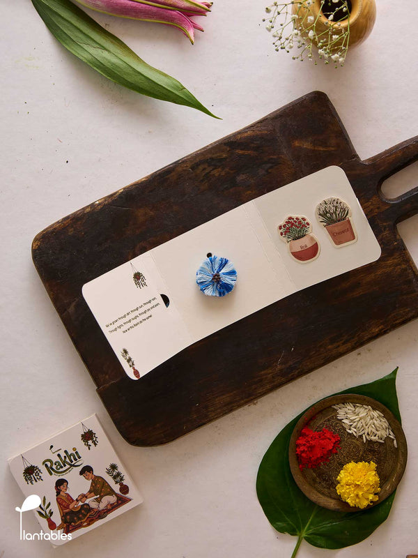 Evil Eye Thread Rakhi, blue nazar motif on cotton thread with seed paper