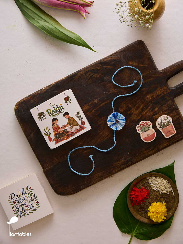 Evil Eye Thread Rakhi, blue nazar motif on cotton thread with seed paper