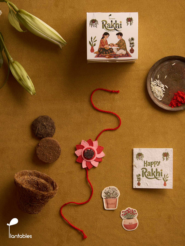 Whorlwind Rakhi Planting Kit, layered petal rakhi with seed paper greeting card, roli chawal pockets and coir pot