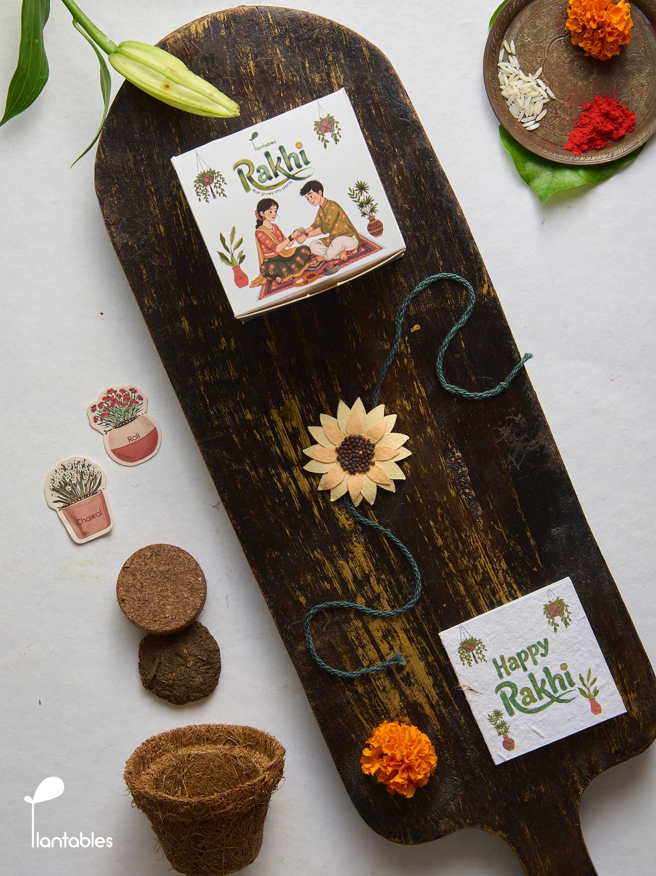 Sunflower Rakhi Planting Kit with seed paper greeting card, roli chawal pockets and coir pot