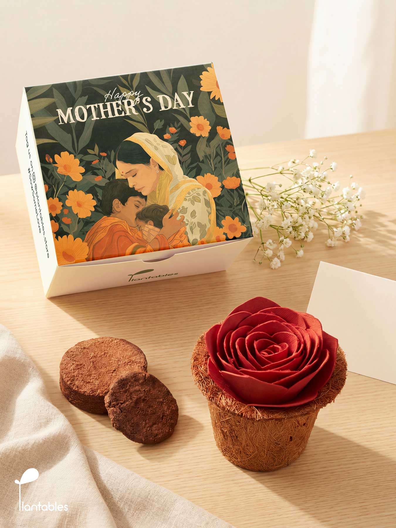 Mother's Day Red Rose Grow Kit