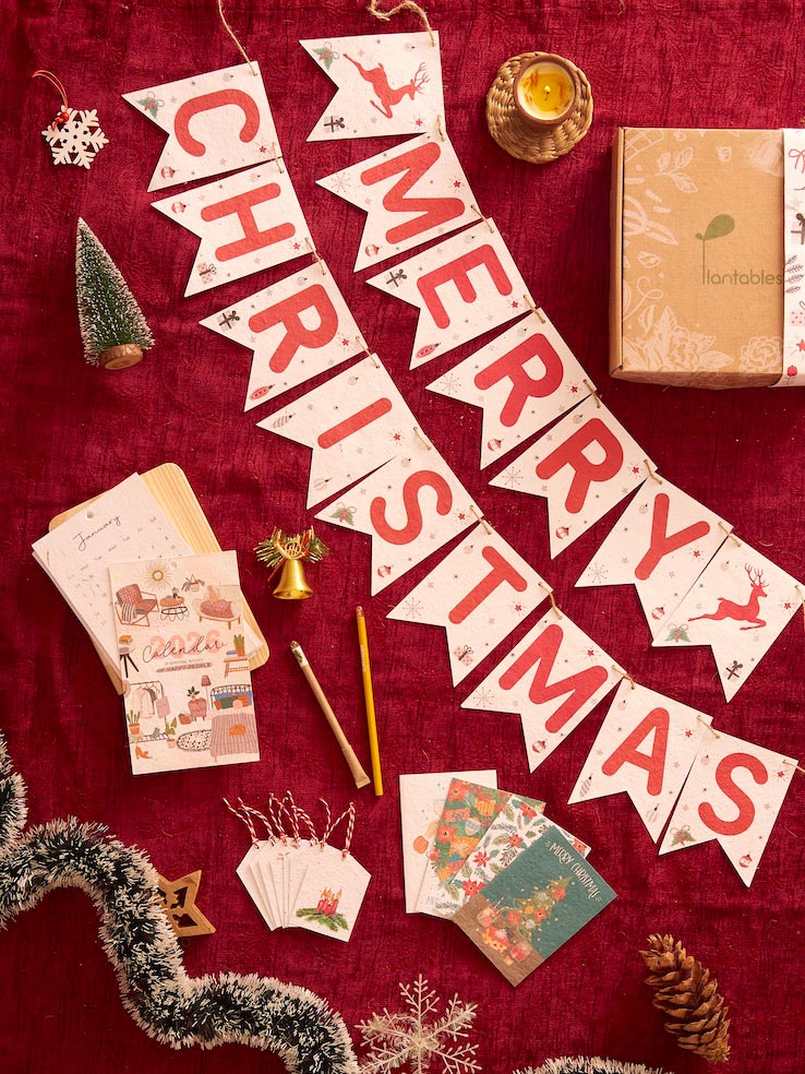 The Yuletide Kit: A Plantable Christmas Mini Gift Kit