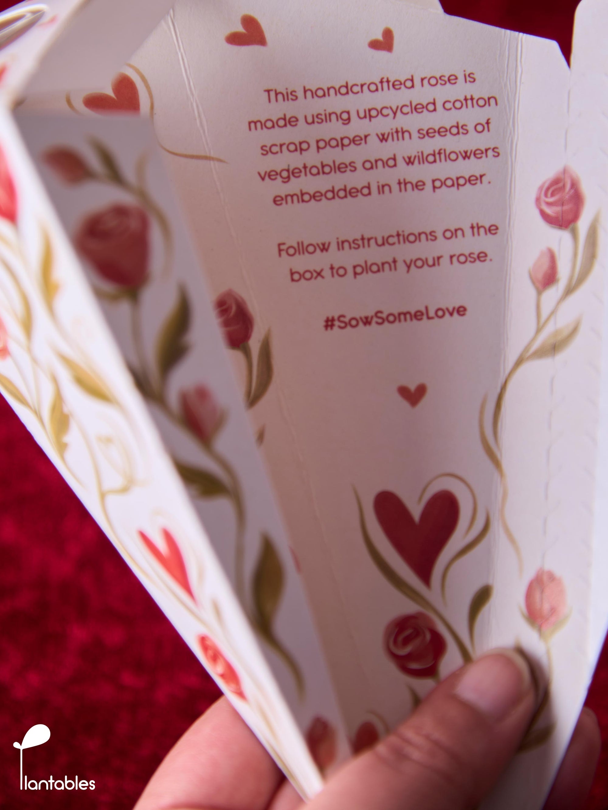 Plantable Rose in a Box
