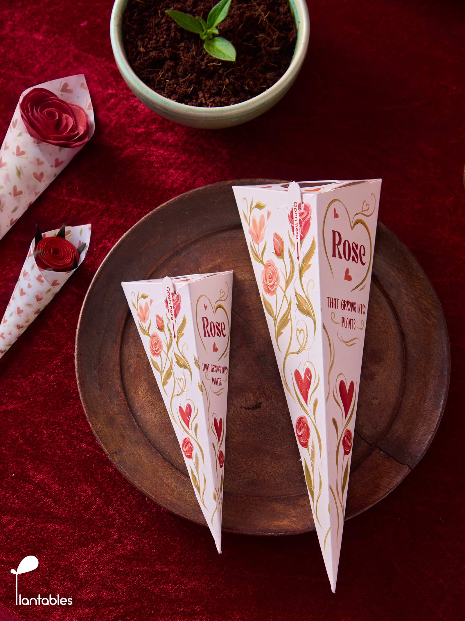 Plantable Rose in a Box