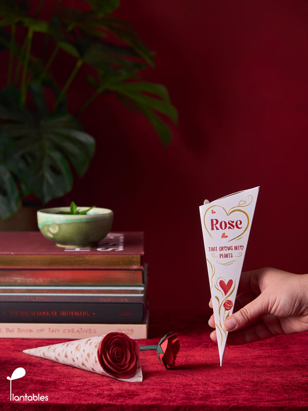 Plantable Rose in a Box