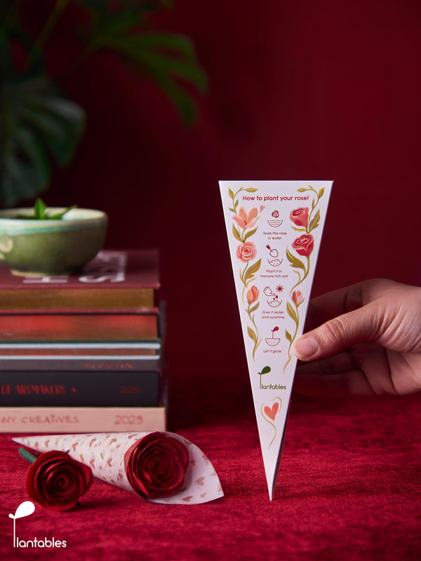 Plantable Rose in a Box