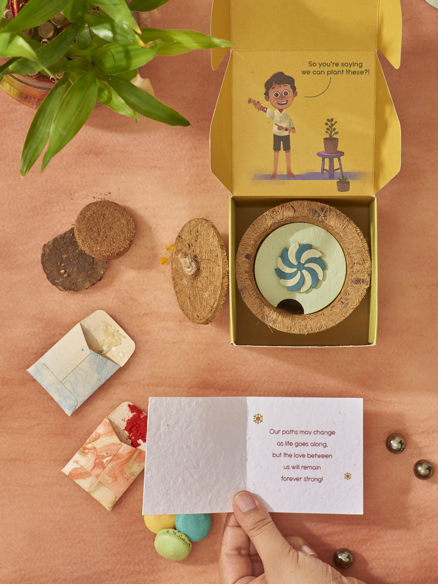 Wheely Wonka Rakhi Planting Kit