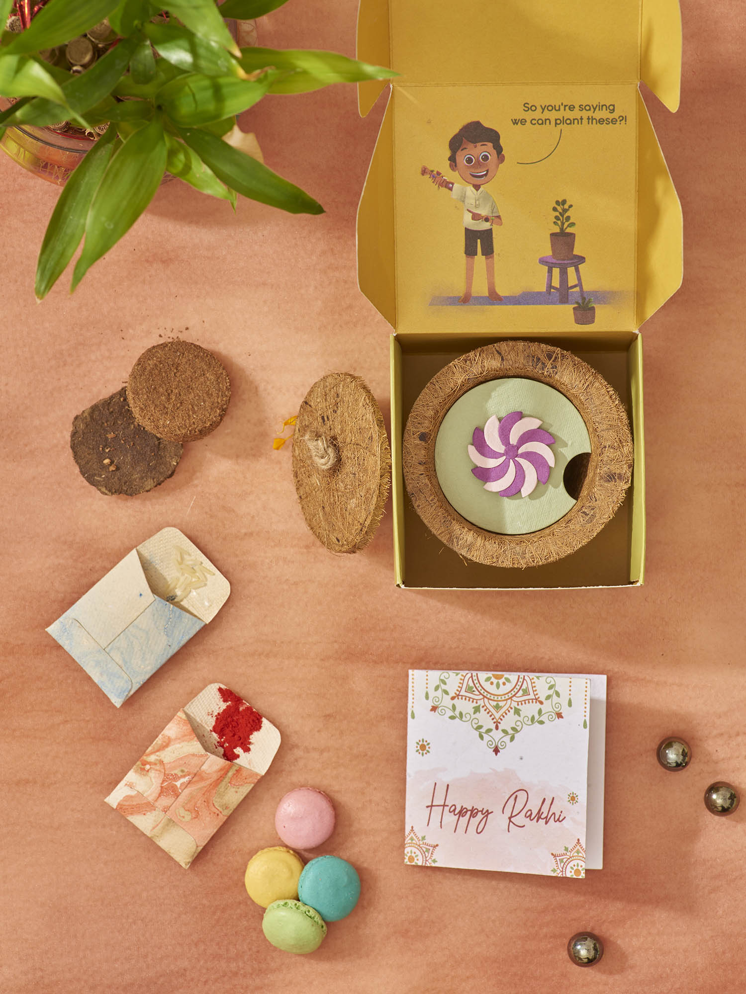 Wheely Wonka Rakhi Planting Kit